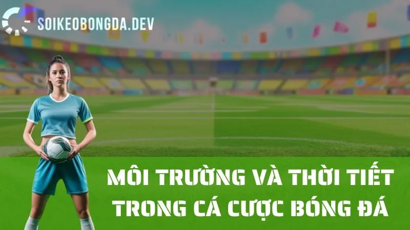 Phân Tích Môi Trường Và Điều Kiện Thời Tiết Khi Đặt Cược Bóng Đá 10 Phân Tích Môi Trường Và Điều Kiện Thời Tiết Khi Đặt Cược Bóng Đá